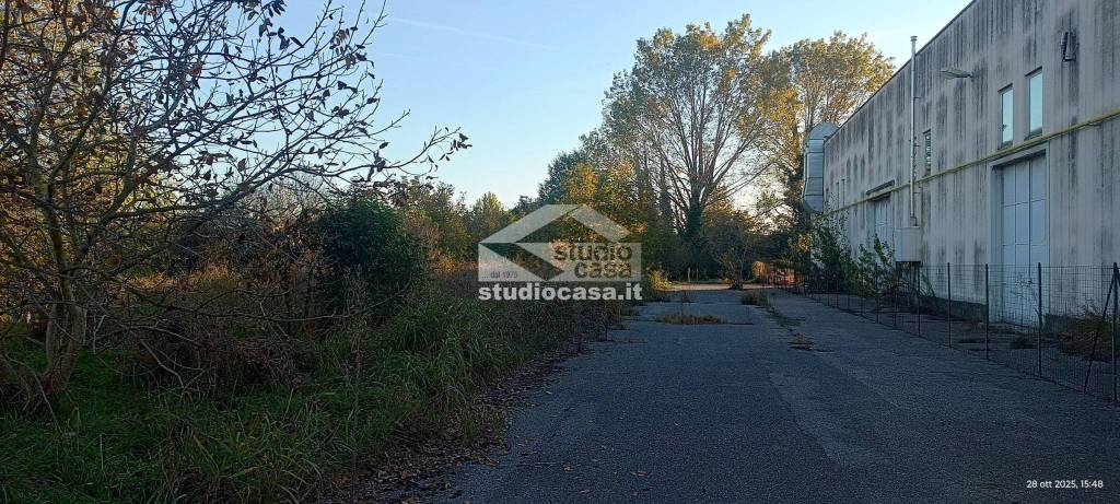 immagine annuncio 1 di 7