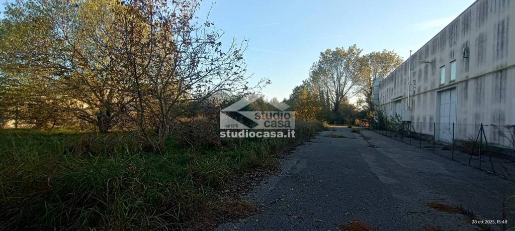 immagine annuncio 2 di 7