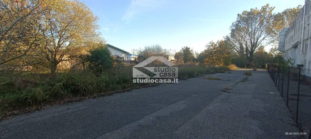 immagine annuncio 3 di 7