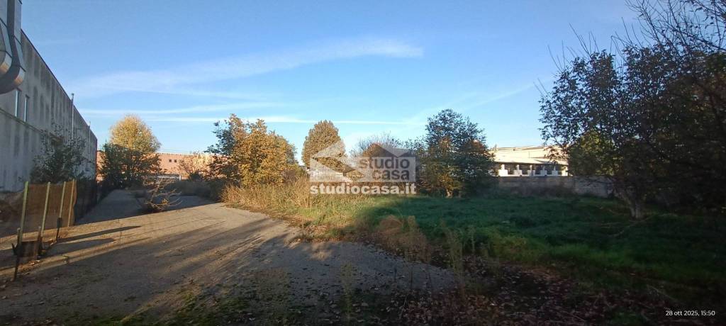 immagine annuncio 4 di 7