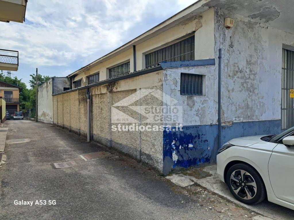 immagine annuncio 2 di 12