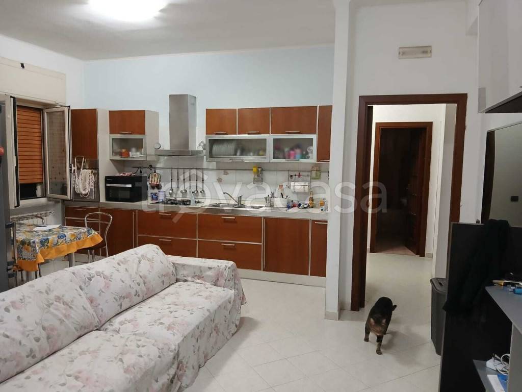 immagine annuncio 6 di 13