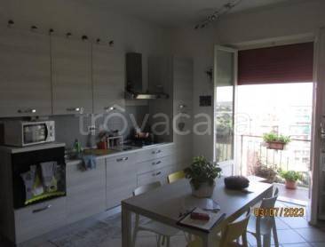 immagine annuncio 7 di 8