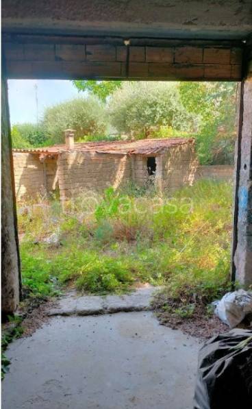 immagine annuncio 1 di 7