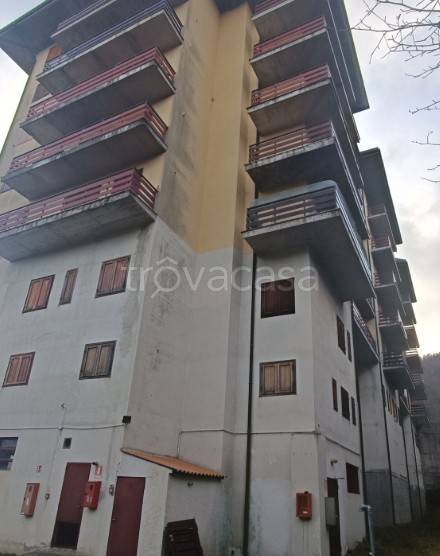 immagine annuncio 3 di 8