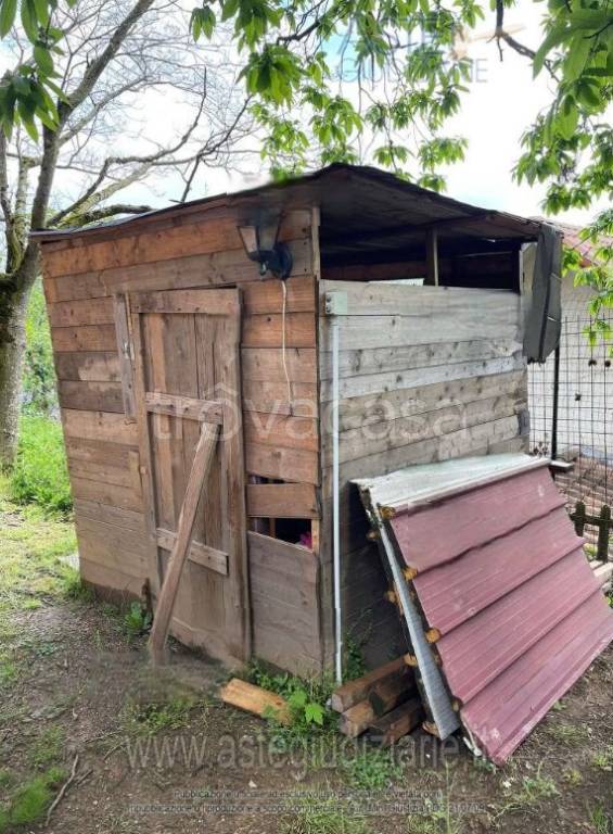 immagine annuncio 2 di 9