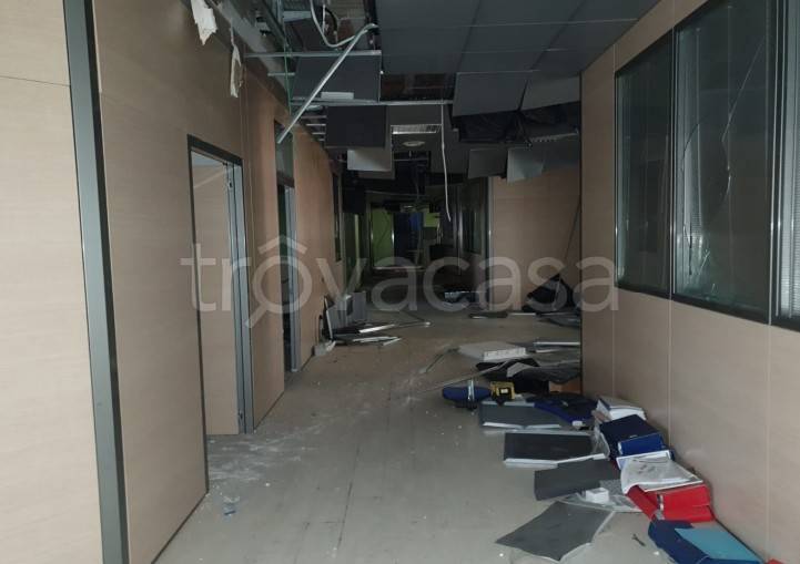 immagine annuncio 2 di 7