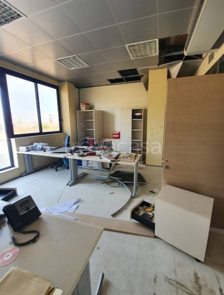 immagine annuncio 5 di 7