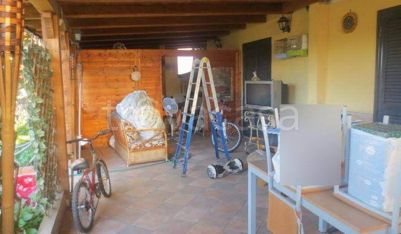 immagine annuncio 9 di 11