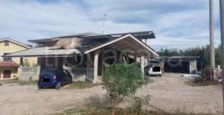 immagine annuncio 1 di 6