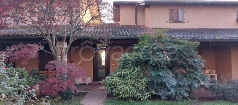 immagine annuncio 2 di 3