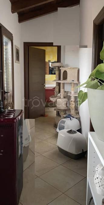 immagine annuncio 1 di 8