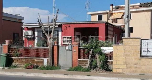 immagine annuncio 4 di 6