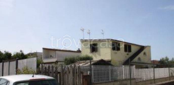 immagine annuncio 2 di 14