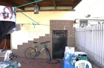 immagine annuncio 5 di 14