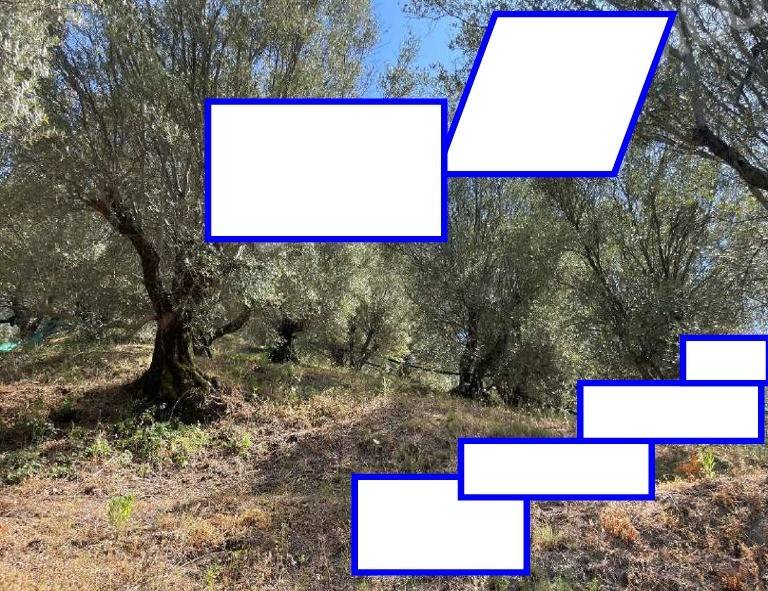 immagine annuncio 2 di 3