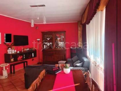 immagine annuncio 9 di 14