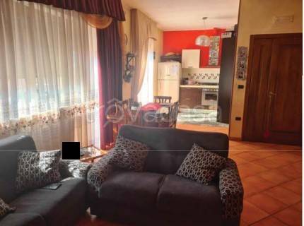 immagine annuncio 10 di 14