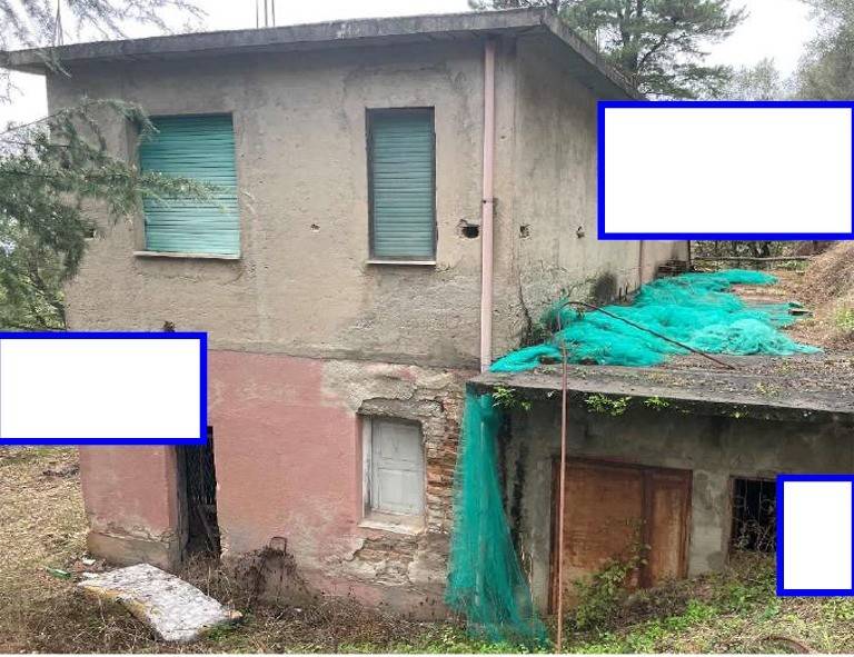 immagine annuncio 6 di 11