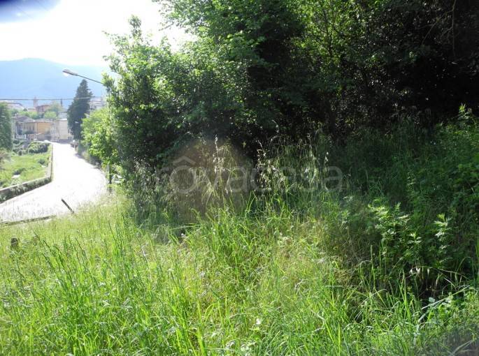 immagine annuncio 3 di 7