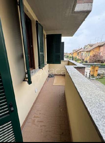 immagine annuncio 7 di 14