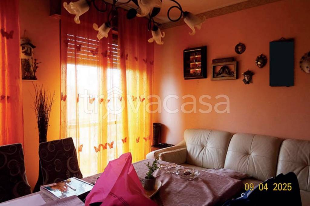 immagine annuncio 7 di 12