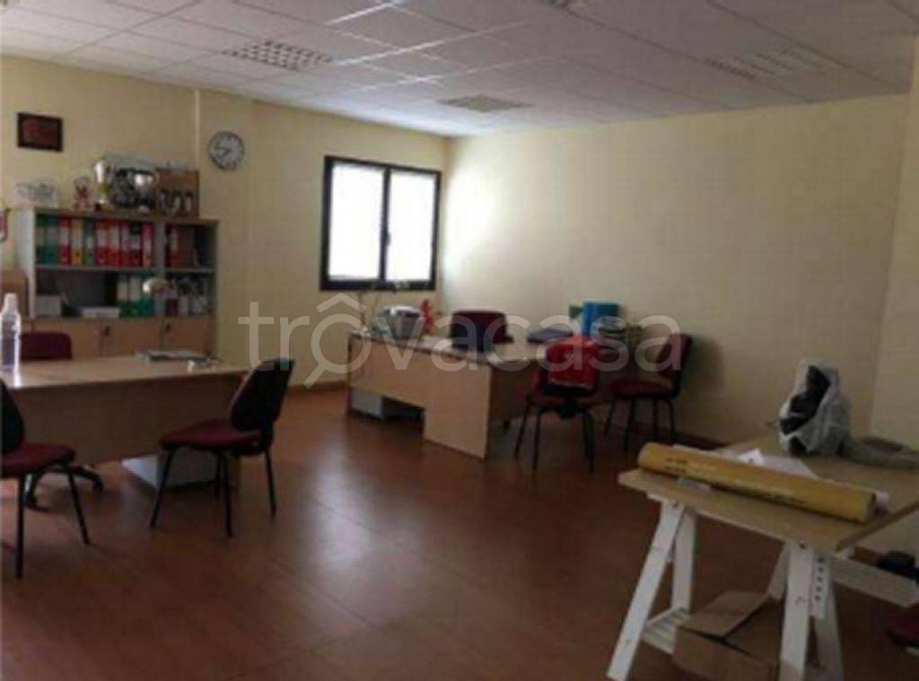 immagine annuncio 5 di 7