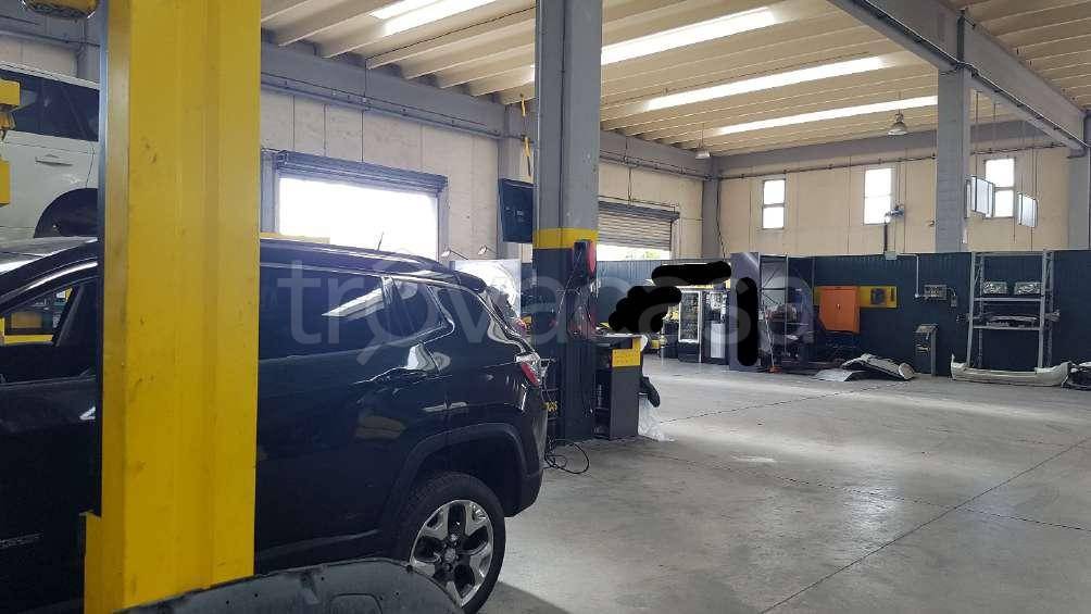 immagine annuncio 6 di 15