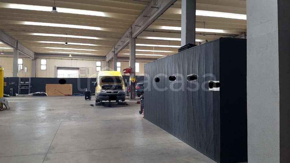 immagine annuncio 8 di 15