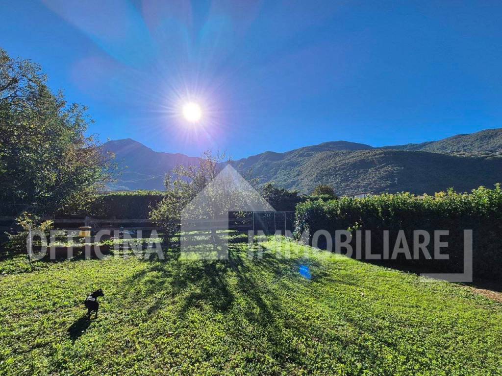 immagine annuncio 1 di 6