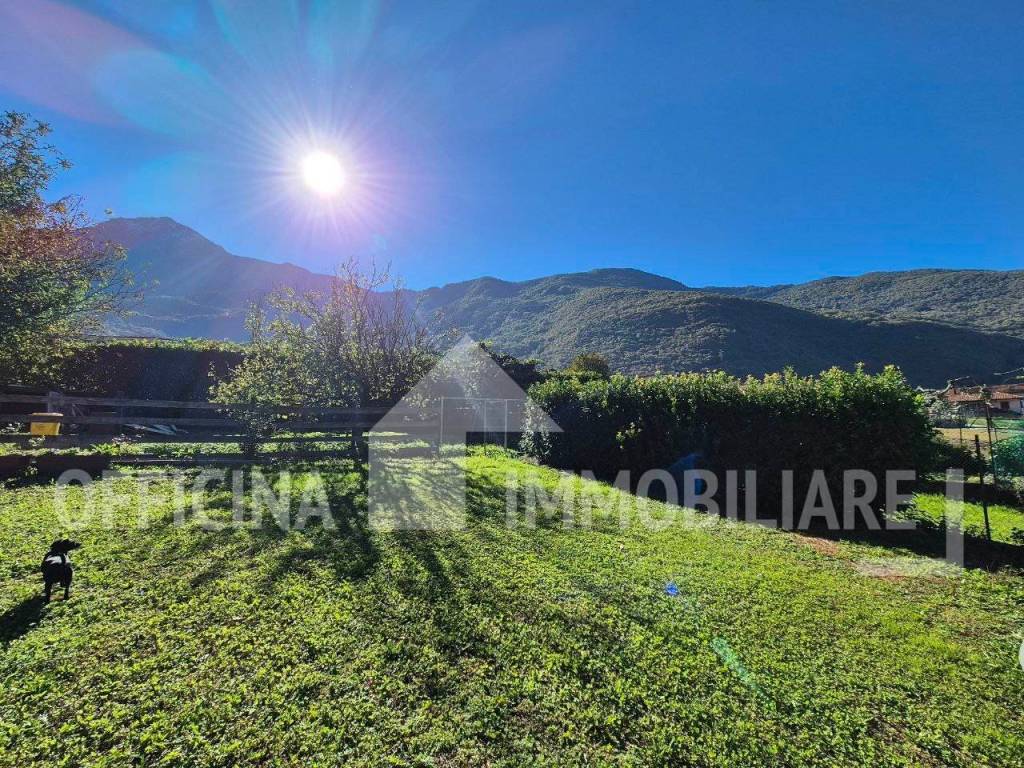 immagine annuncio 2 di 6