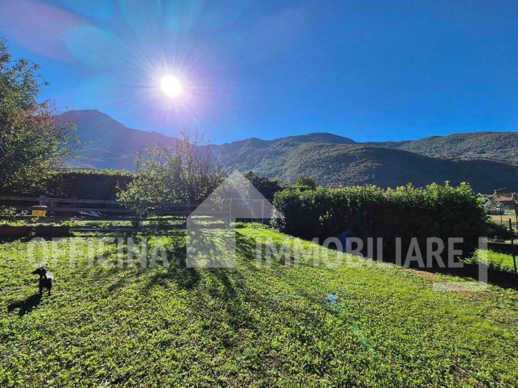 immagine annuncio 4 di 6