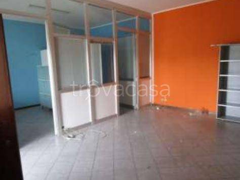 immagine annuncio 4 di 12