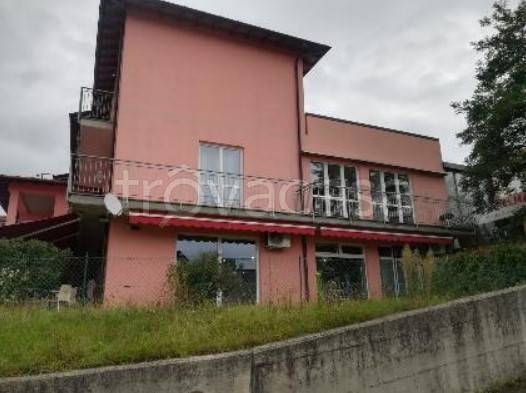 immagine annuncio 3 di 6