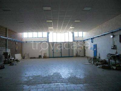 immagine annuncio 1 di 3