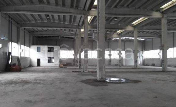 immagine annuncio 4 di 10