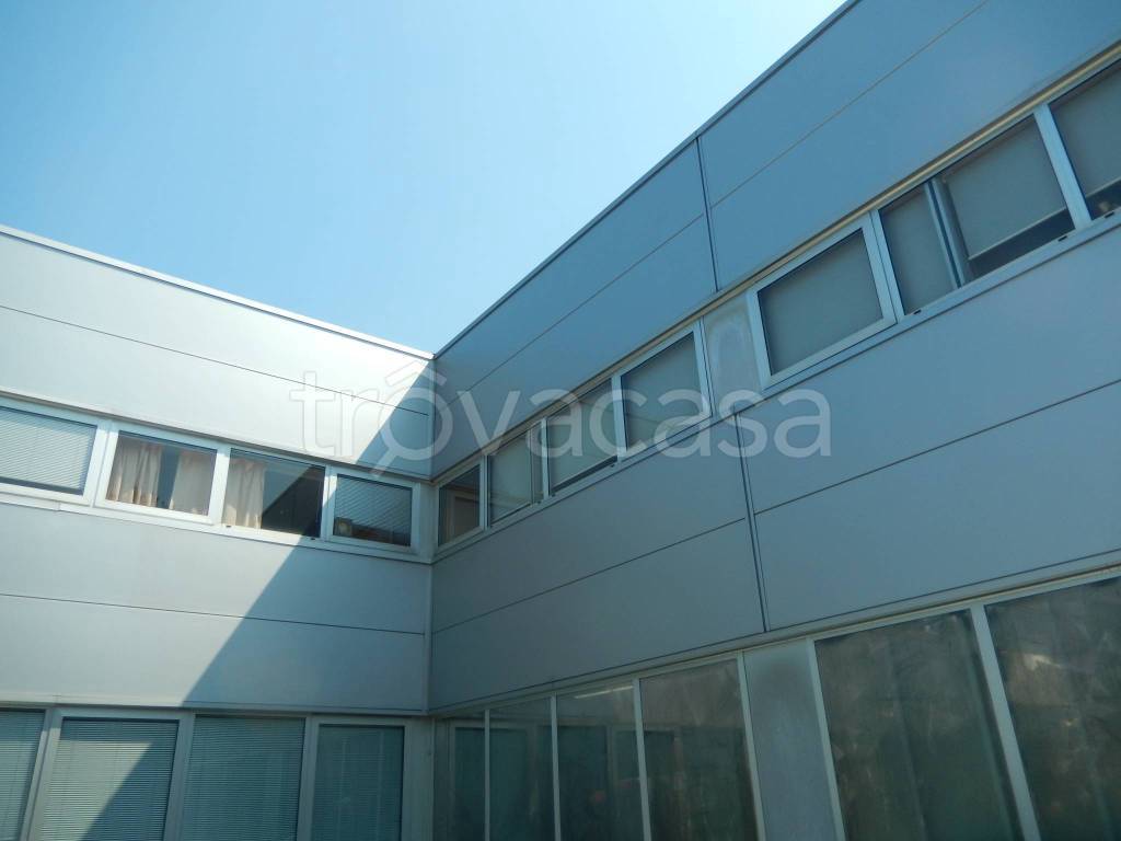 immagine annuncio 6 di 13