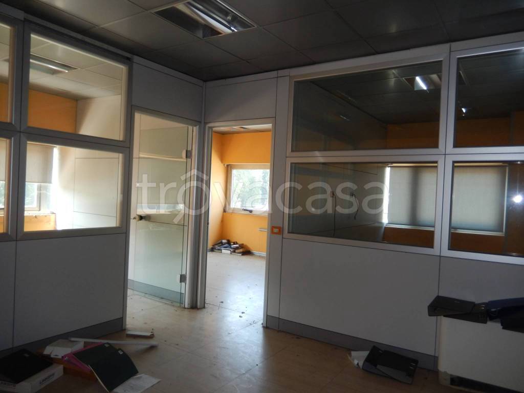 immagine annuncio 12 di 13