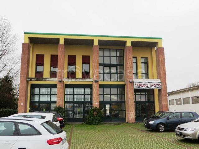 immagine annuncio 2 di 11