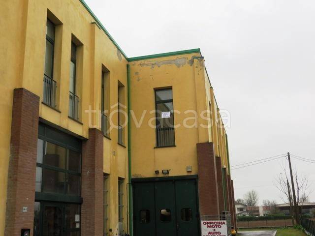 immagine annuncio 3 di 11