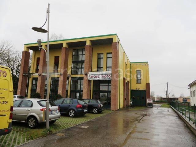 immagine annuncio 4 di 11