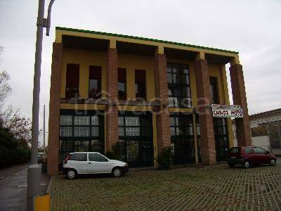 immagine annuncio 8 di 11