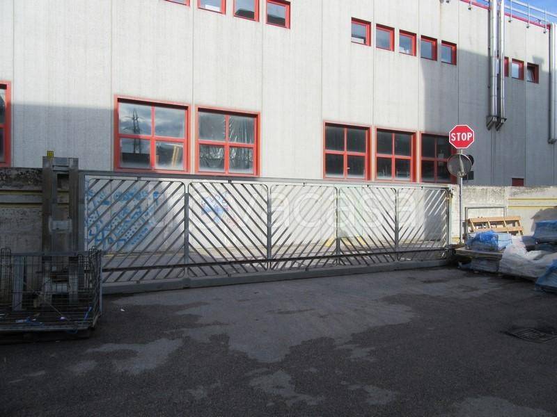 immagine annuncio 3 di 8