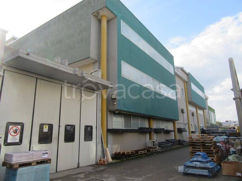 immagine annuncio 4 di 8