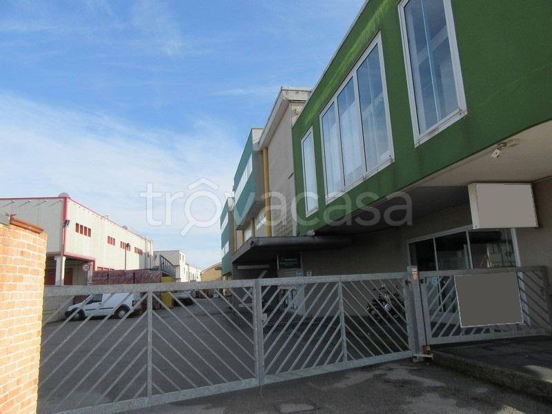 immagine annuncio 6 di 8