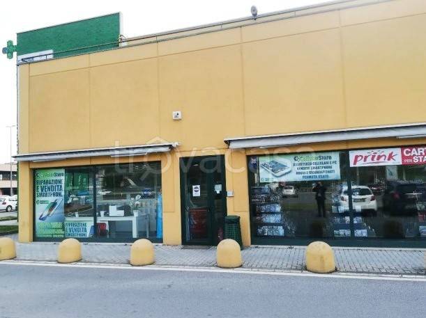 immagine annuncio 2 di 10