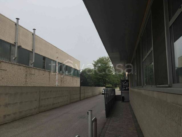 immagine annuncio 10 di 12