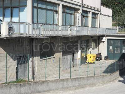 immagine annuncio 5 di 7