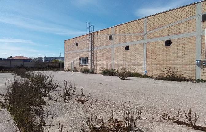 immagine annuncio 6 di 13