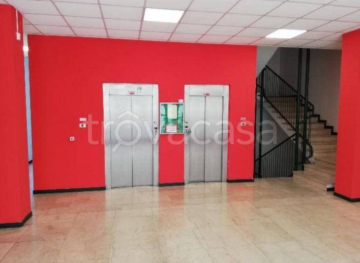 immagine annuncio 5 di 8